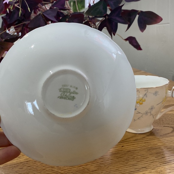 Wellington Bone China teacup and saucer - Picture 4 of 6
